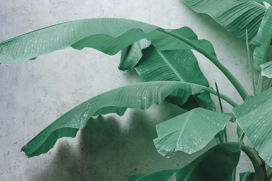 【总第64期】乌市二模试卷研析系列——作文 第44张