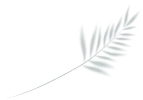 试卷有标准答案,但生活没有——唯有选择,定义未来 第19张