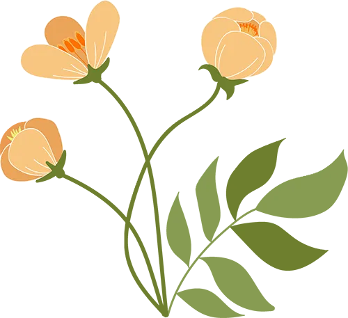 宜阳二高微课堂|高考真题——维也纳会议--历史组乔海娟 第5张