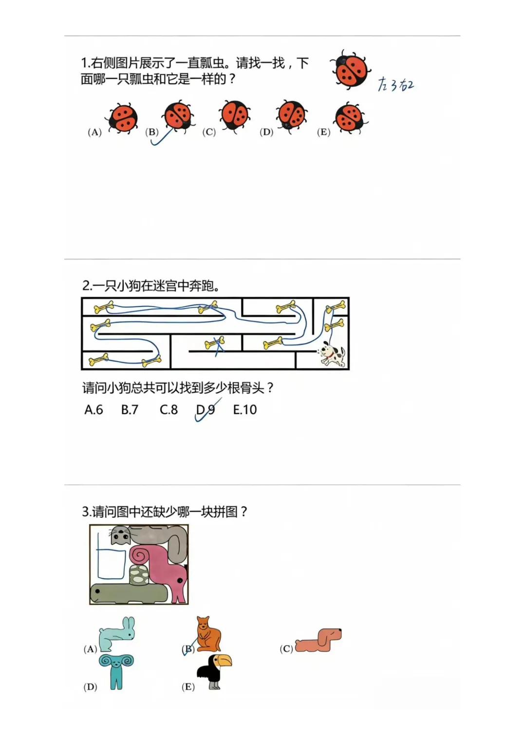 2026年袋鼠竞赛A等级真题答案完整版! 第1张
