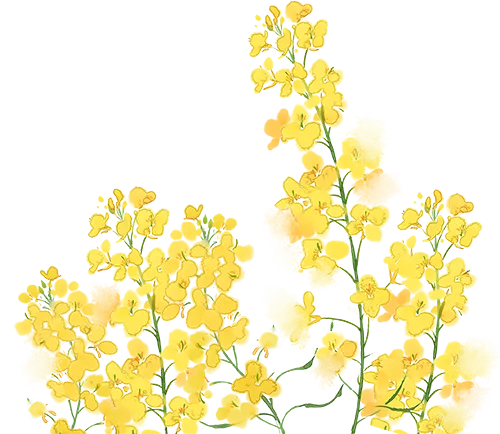 【老纪解读】上海中考数学25题「三角形面积」 第2张