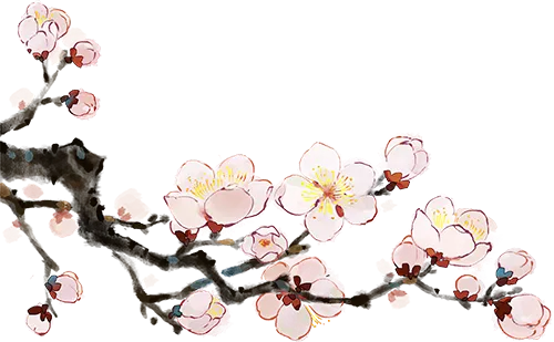 【老纪解读】上海中考数学25题「三角形面积」 第3张