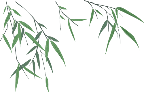 【老纪解读】上海中考数学25题「三角形面积」 第5张