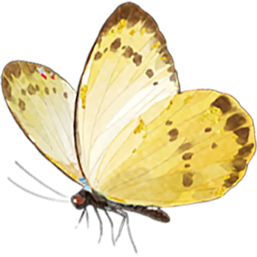 【老纪解读】上海中考数学25题「三角形面积」 第7张