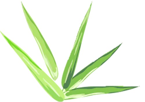 【上海七下全科期中试卷】浦东新区2024-2025学年七下数学期中卷 第15张