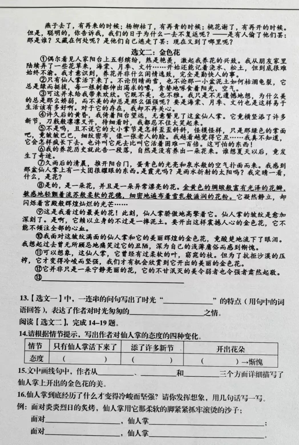 【硚口区六下5调语文试卷】2023年 第5张