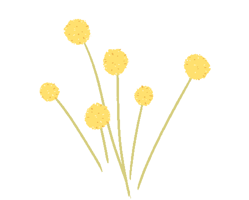 精研课标明方向 聚力提质赢中考 | 渌口区初中语文、化学、历史学科研讨活动在我校顺利开展 第5张