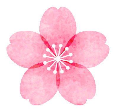 精研课标明方向 聚力提质赢中考 | 渌口区初中语文、化学、历史学科研讨活动在我校顺利开展 第26张