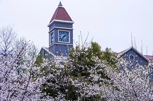 中考566分普娃竟出口985?普陀15所高中出口曝光! 第22张