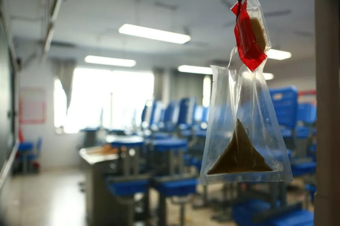 【2025中考系列报道四】星阙题名 培风图南 第80张