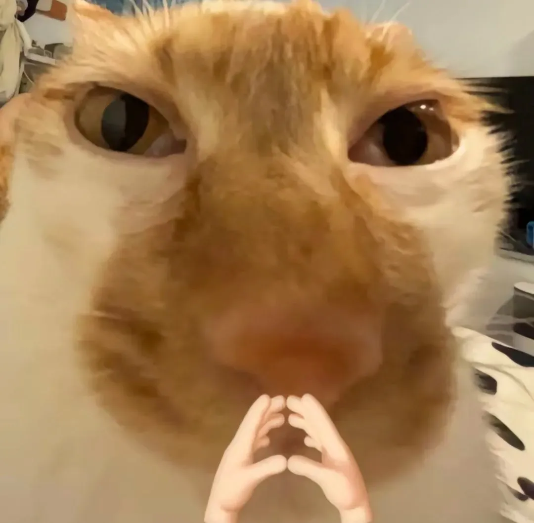 @所有初三家长:成都初升高不止中考,这些10大路径必须清楚! 第1张