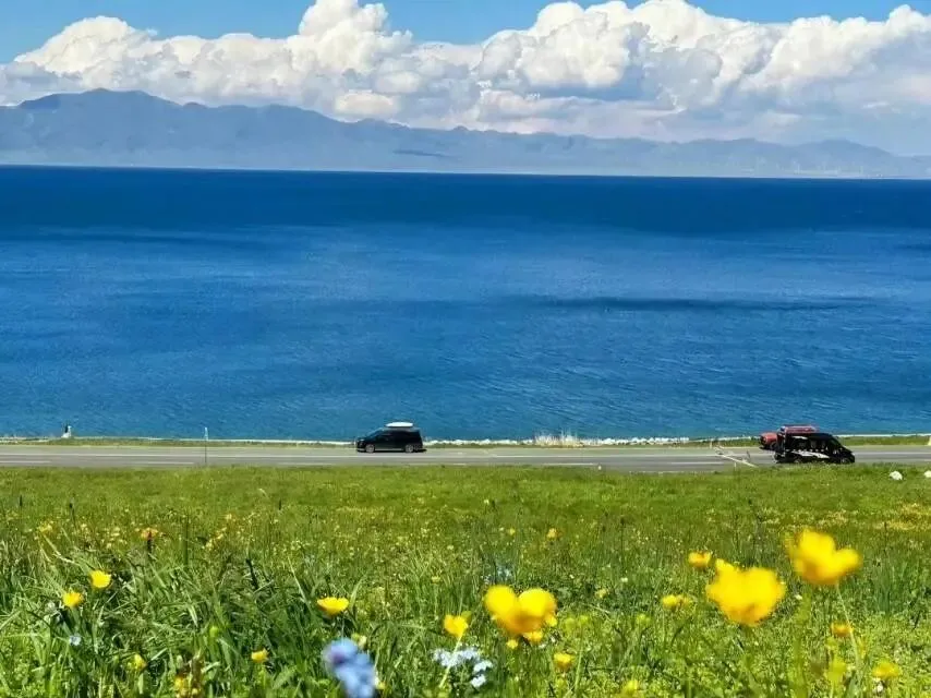 中考英语 新课标2000词汇顺序版(背诵+默写) 第30张