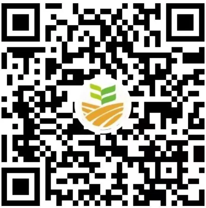 蝶变中考|那个被手机“偷走”的少年,后来怎样了? 第34张