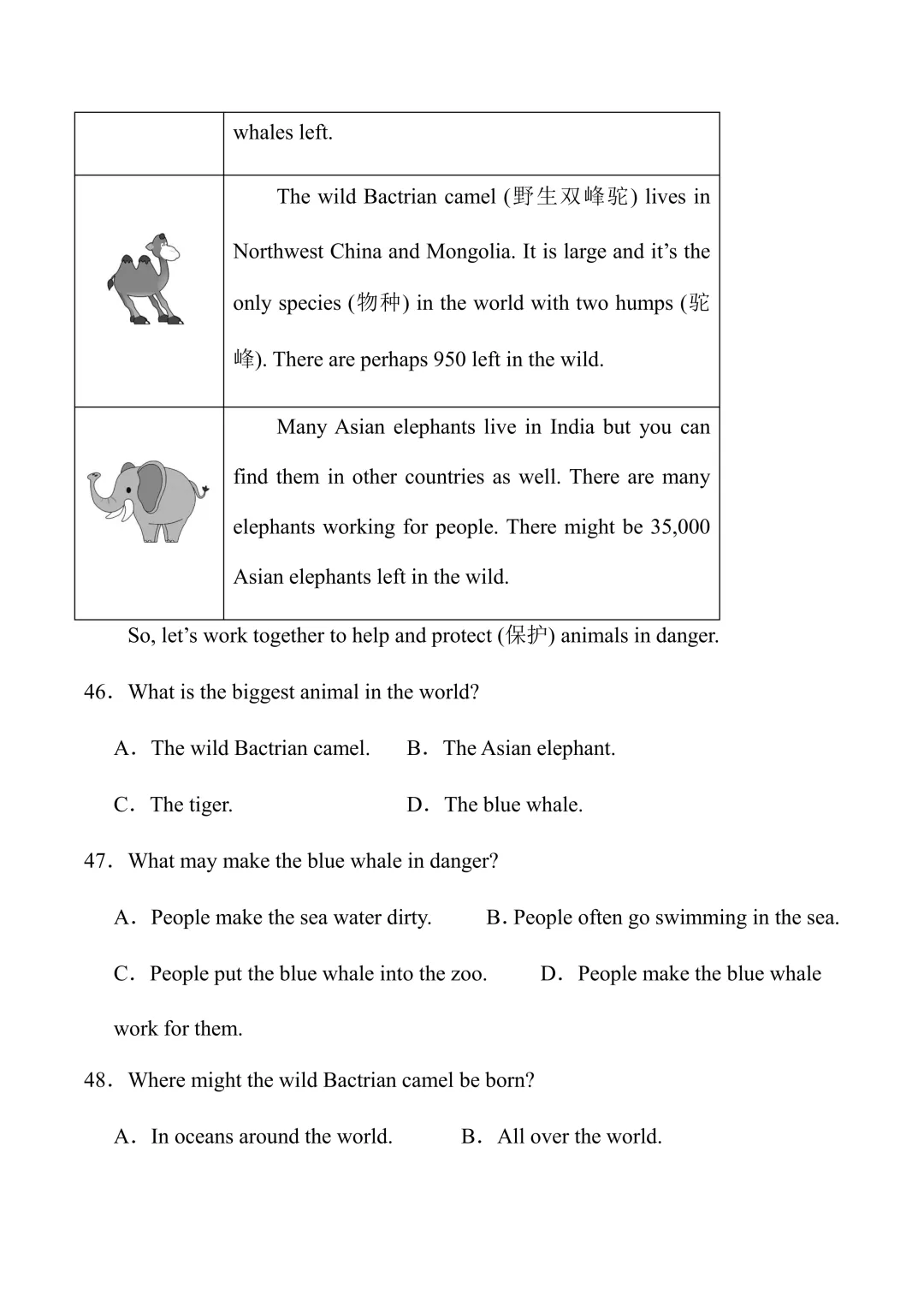 新人教七下英语 期中模拟试卷1 (带听力+有答案) 第10张