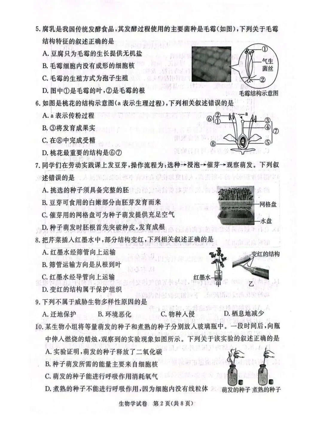 2026河北省初中学业水平摸底考试生物试卷,点击下载→ 第4张