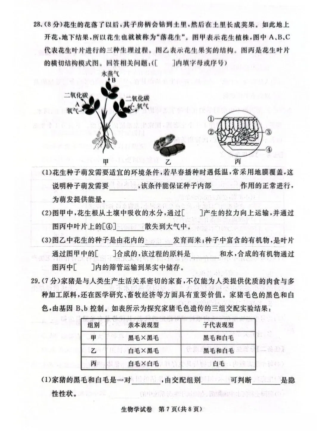 2026河北省初中学业水平摸底考试生物试卷,点击下载→ 第9张