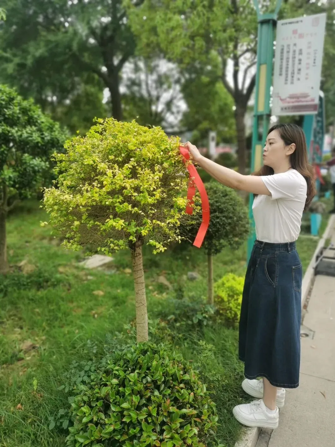 【2024中考】青衿致远 沐光而行 第211张