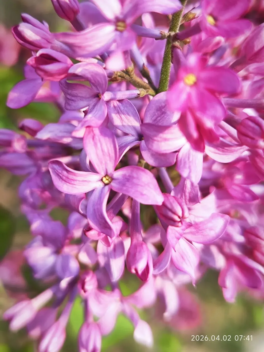 中考倒计时第79天 第1张