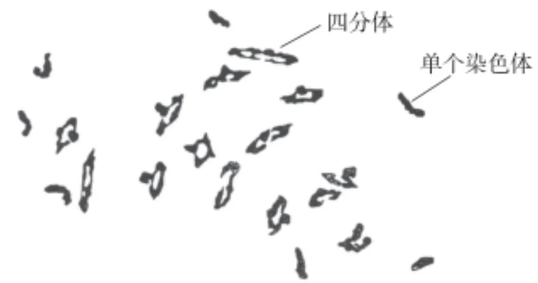 2025年全国高考【广西卷】试卷真题电子版及答案解析合集含历年真题9科 第5张