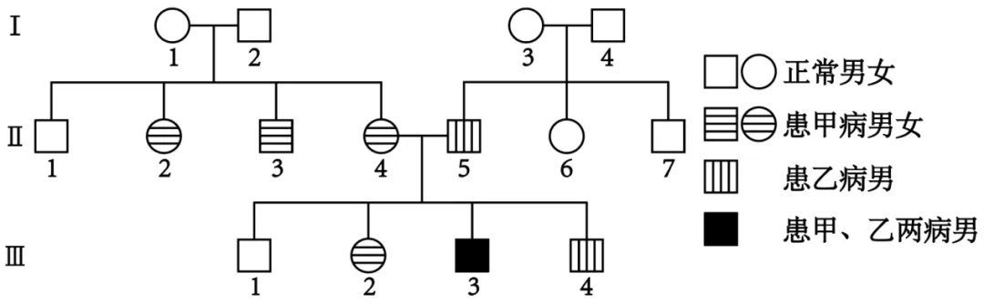 2026届广东省东莞市高三一模拟考试生物学试题(3月)(详解电子版) 第3张