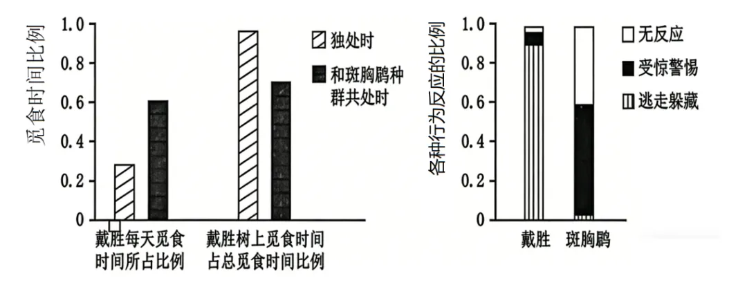 2026届广东省东莞市高三一模拟考试生物学试题(3月)(详解电子版) 第5张