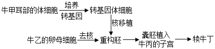 2026届广东省东莞市高三一模拟考试生物学试题(3月)(详解电子版) 第6张