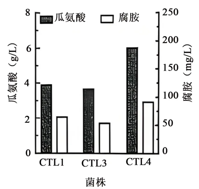 2026届广东省东莞市高三一模拟考试生物学试题(3月)(详解电子版) 第13张