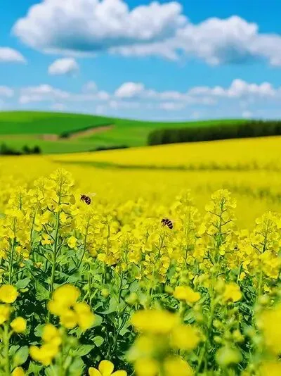 怎样上好试卷讲评课 第1张