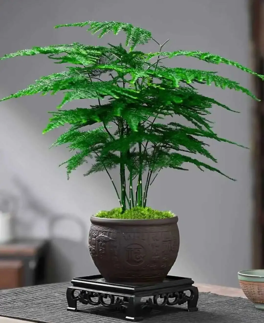 安徽金太阳2026九年级中考一模数学试卷和答案 第5张