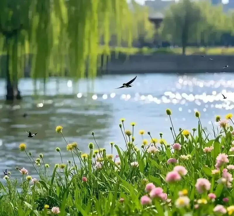 2026江西中考作文风向题五:《这,才是少年应有的模样》 第1张