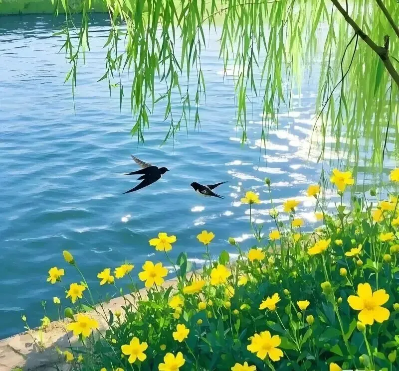 2026江西中考作文风向题五:《这,才是少年应有的模样》 第3张