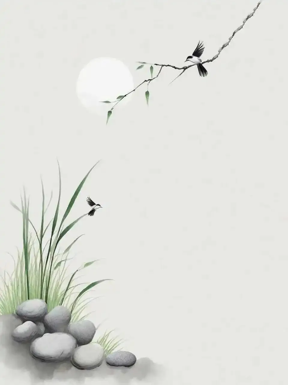 马鞍山市第八初级中学2026年中考一模数学试卷和答案 第5张