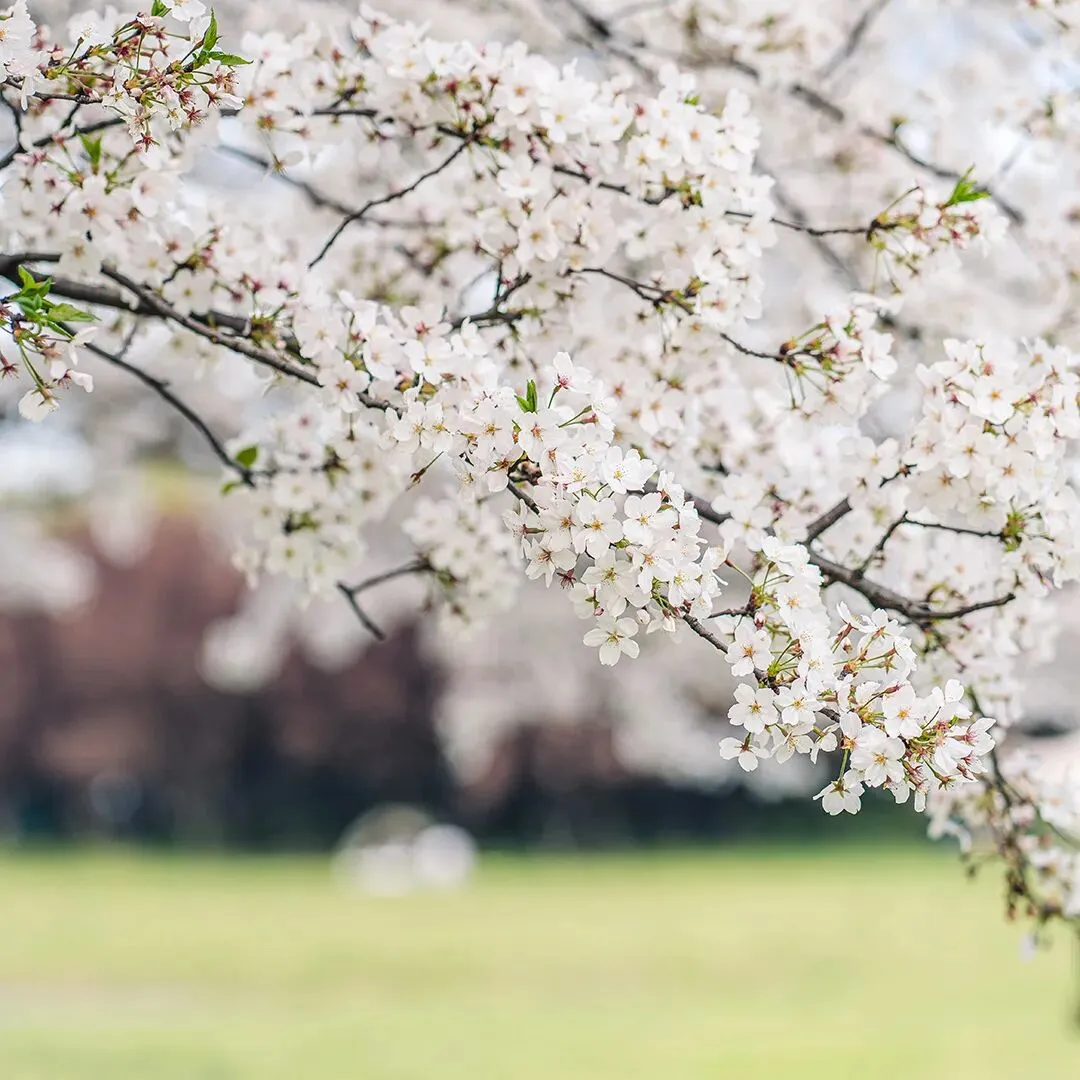 数海无涯,研途有光,共赴中考之约--伊宁县2026年初中数学中考复习教学研讨活动 第2张