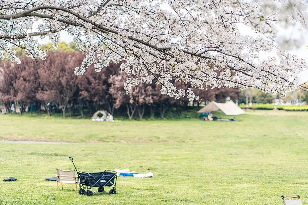 数海无涯,研途有光,共赴中考之约--伊宁县2026年初中数学中考复习教学研讨活动 第30张
