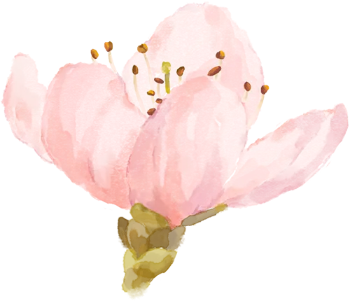 数海无涯,研途有光,共赴中考之约--伊宁县2026年初中数学中考复习教学研讨活动 第31张