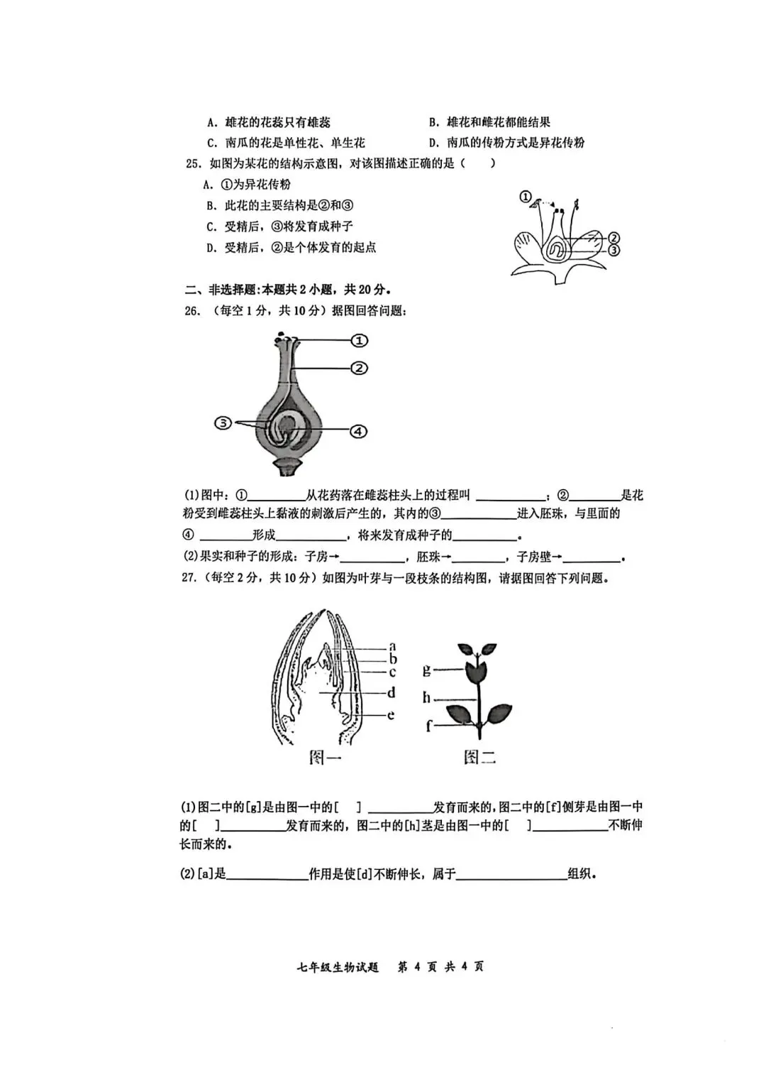 【2026年月考真题】滕州市北辛中学七年级下学期第一次月考生物试题含答案 第4张
