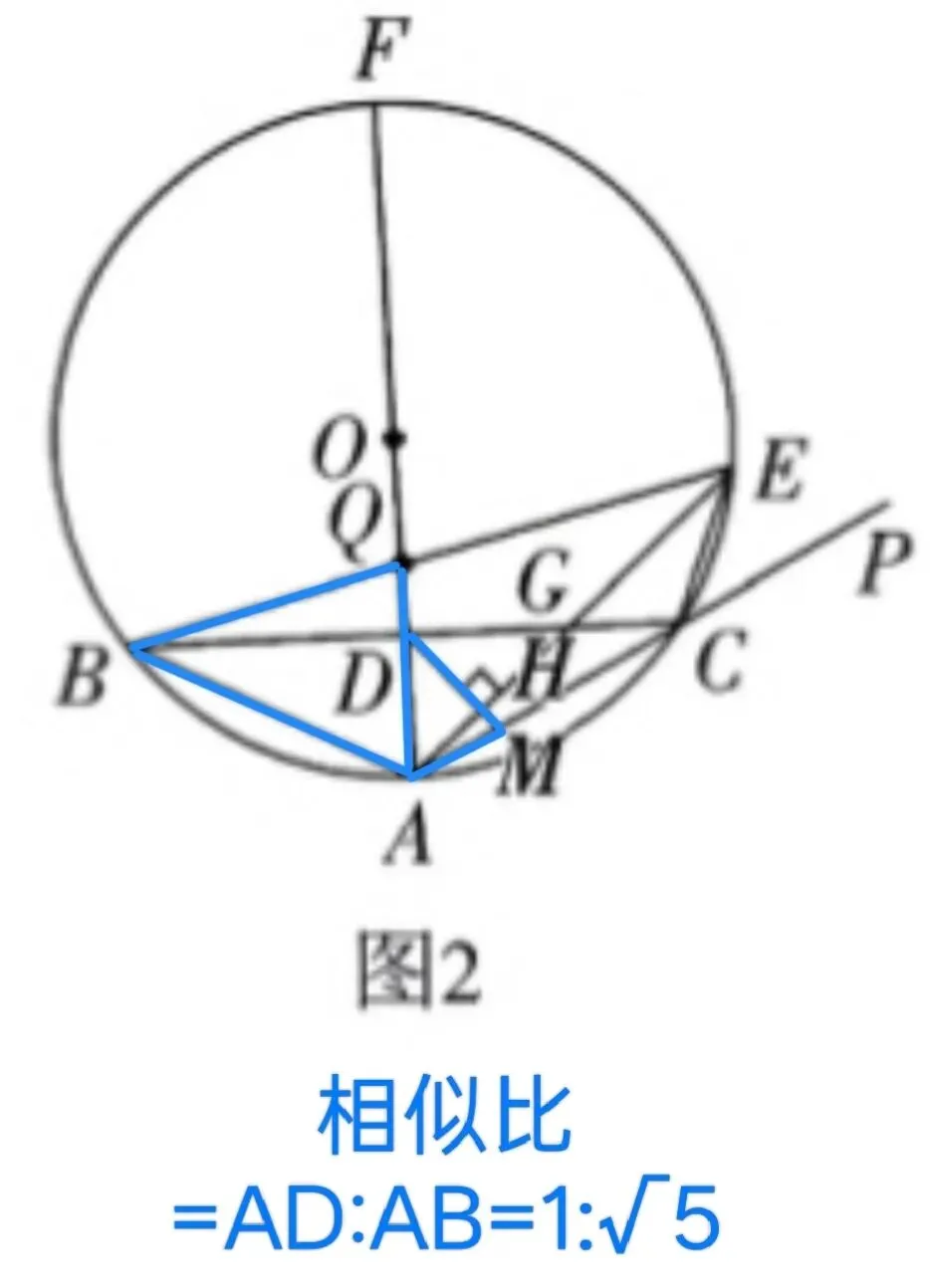 26年4月2日一中数学一模试卷分析 第7张