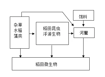 【中考生物】生物考前冲刺注意事项【附:石家庄市外国语教育集团2025-2026学年下学期八年级模拟生物试卷】 第13张