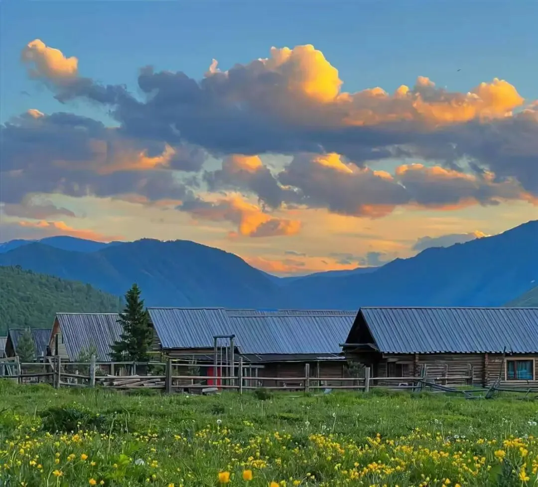 中考倒计时75天:陪考,亦是修心 第1张