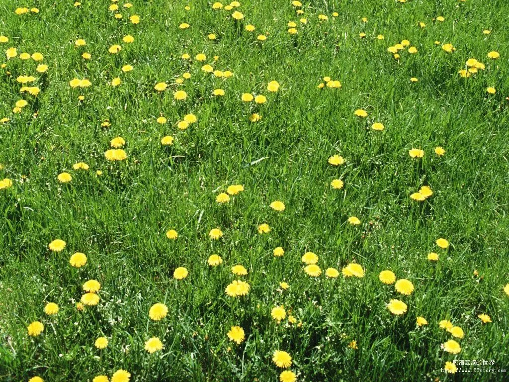 《红星照耀中国》检测试卷及答案 第1张