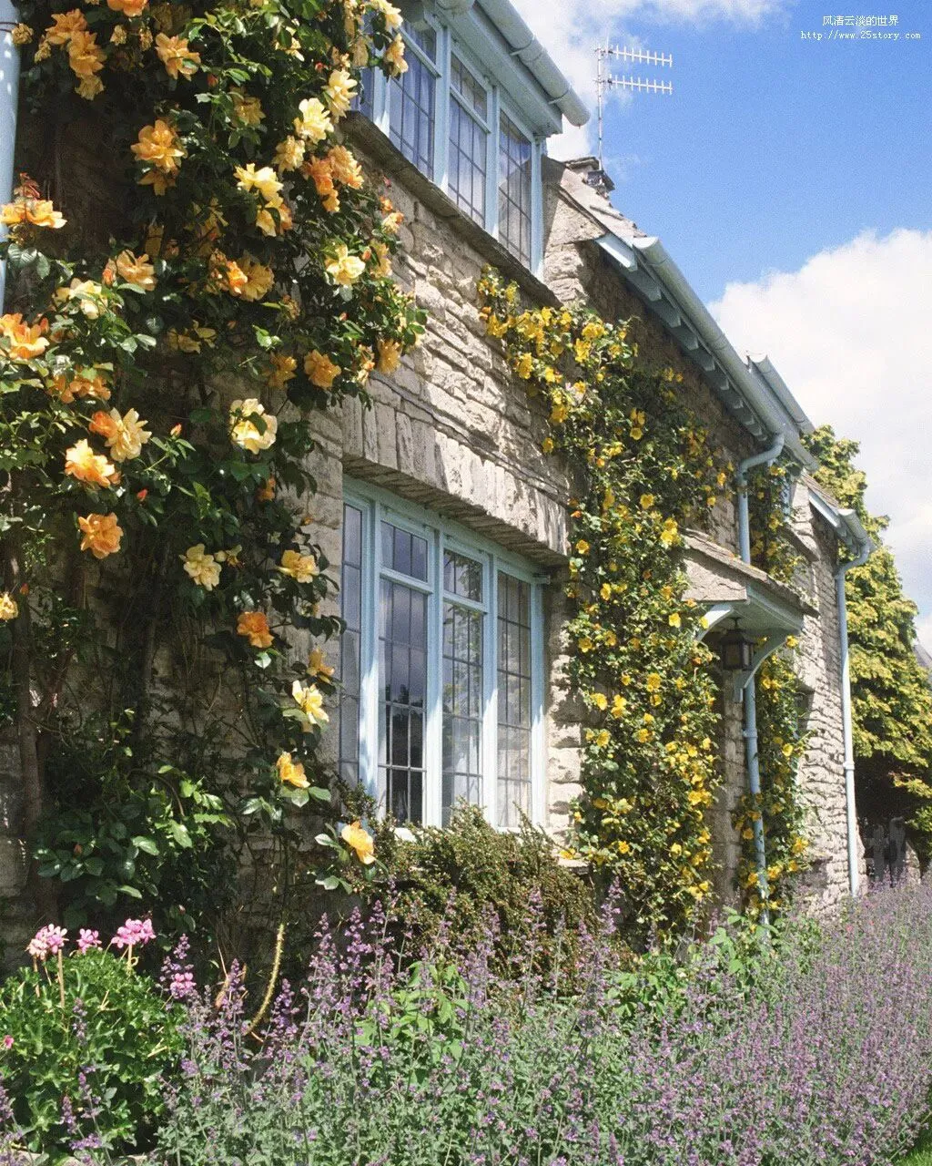 《红星照耀中国》检测试卷及答案 第2张