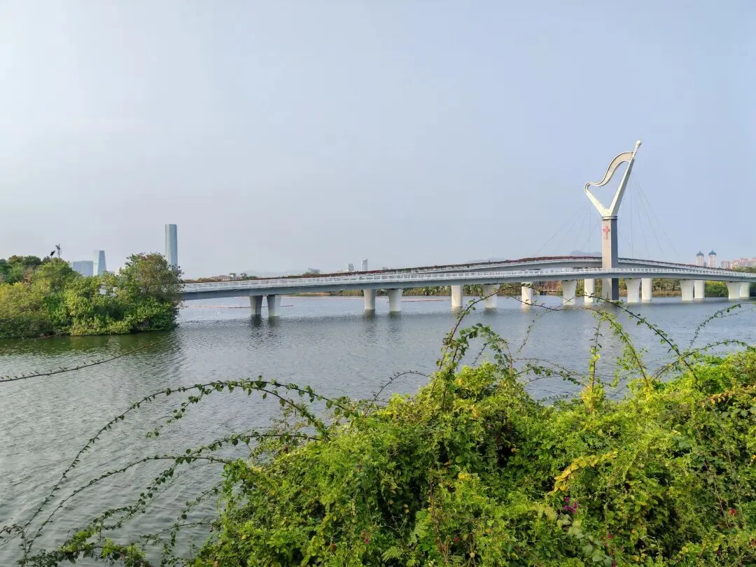 2026年高考模拟考试物理试题 第1张