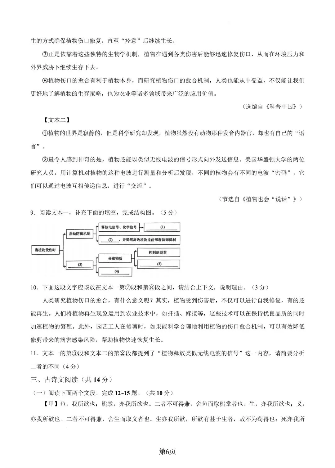 2026枫杨外国语一模语文试卷+答案 第6张