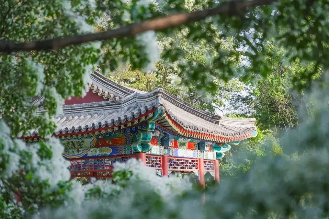 考前要主动调整备考重心,发挥好模拟考试的实战演练作用 第4张