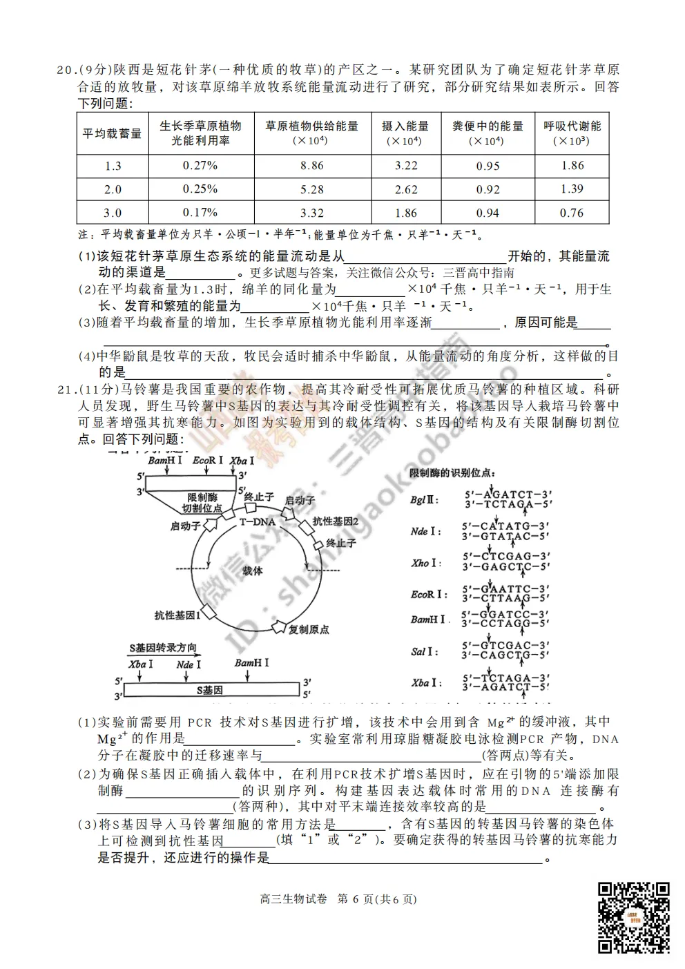 陕西省商洛市2026高三下学期第一次模拟考试全科试题与答案!附送高清打印版 第74张