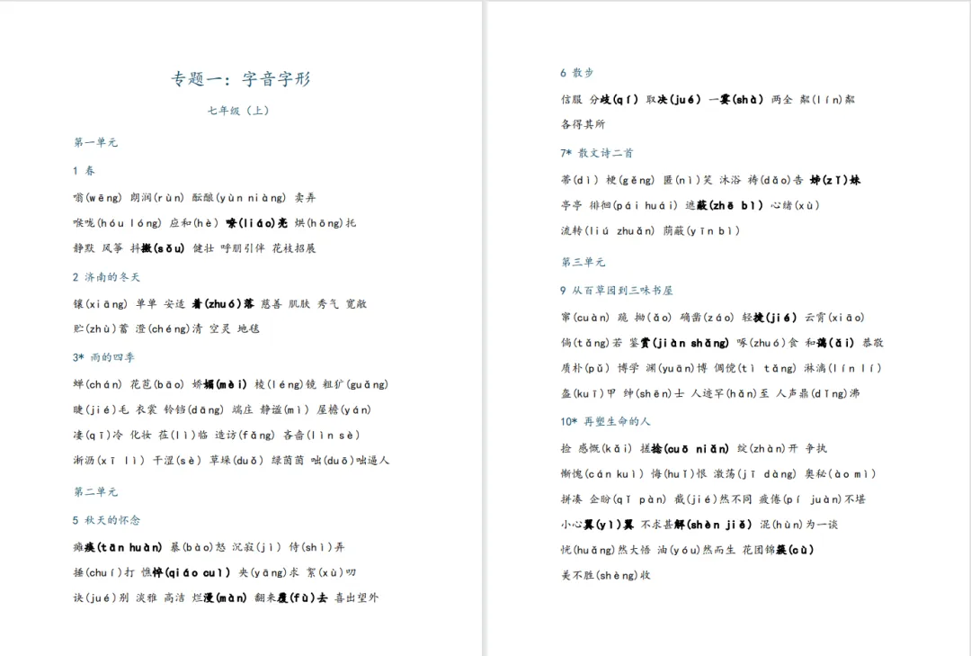 中考复习专题一:字音字形 第1张