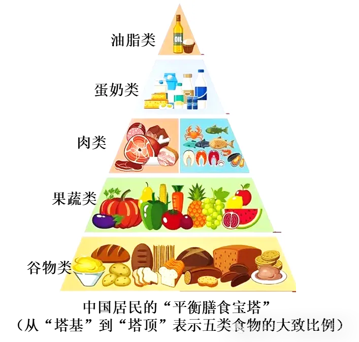 2026年中考语文专项复习:语言表达与综合性学习 第18张