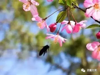 2026年中考历史考前必备 第1张