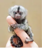 【每日一题•中考专栏】长度 第3张