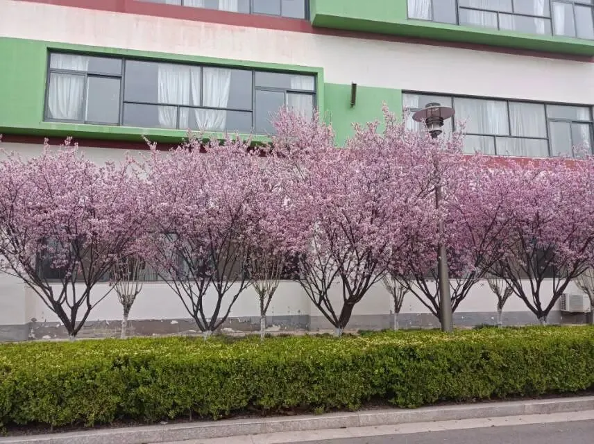 3月28日真题:小王是税务局办公室同志,领导安排小李承接小王手上的工作,你作为小李,为了完成好工作,你打算了解这些工作的哪些情况? 第1张